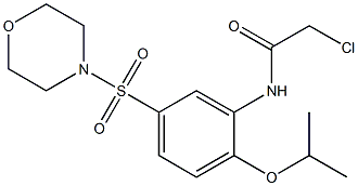 2-CHLORO-N-[2-ISOPROPOXY-5-(MORPHOLIN-4-YLSULFONYL)PHENYL]ACETAMIDE 结构式