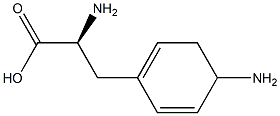 4-AMINO-L-PHENYLALANINE, [3H]- 结构式