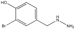 3-BROMO-4-HYDROXY-BENZYL-HYDRAZINE 结构式