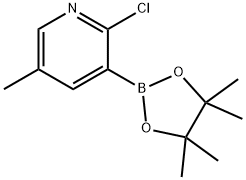 2-氯-5-甲基吡啶-3-硼酸频哪酯 结构式