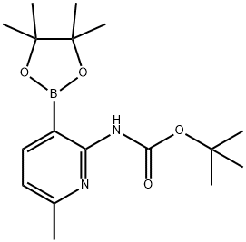 tert-Butyl(6-methyl-3-(4,4,5,5-tetramethyl-1,3,2-dioxaborolan-2-yl)pyridin-2-yl)carbamate