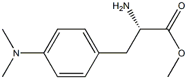 METHYL (2S)-2-AMINO-3-[4-(DIMETHYLAMINO)PHENYL]PROPANOATE 结构式