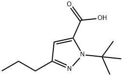 1-(叔丁基)-3-丙基-1H-吡唑-5-羧酸 结构式