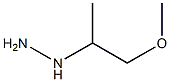 (2-METHOXY-1-METHYL-ETHYL)-HYDRAZINE 结构式