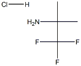 2,2,2-Trifluoro-1,1-dimethyl-ethylamine hydrochloride 结构式