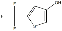 4-HYDROXY-2-(TRIFLUOROMETHYL)THIOPHENE 结构式