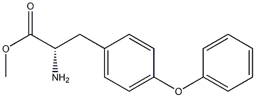 METHYL (2S)-2-AMINO-3-(4-PHENOXYPHENYL)PROPANOATE 结构式