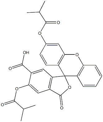 5(6)-羧基荧光素二异丁酸酯 结构式