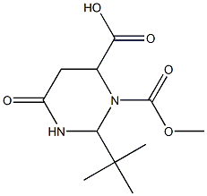 2-TERT-BUTYL-4-OXO-TETRAHYDRO-PYRIMIDINE-1,6-DICARBOXYLIC ACID 1-METHYL ESTER 结构式