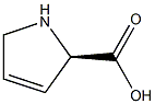 (R)-2,5-DIHYDROPYRROLE-2-CARBOXYLIC ACID 结构式