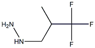 (2-TRIFLUOROMETHYL-PROPYL)-HYDRAZINE 结构式
