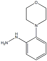 (2-MORPHOLIN-4-YL-PHENYL)-HYDRAZINE 结构式