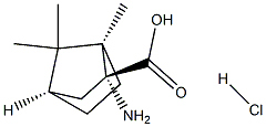 (1R,2R,4R)-2-AMINO-1,7,7-TRIMETHYLBICYCLO[2.2.1]HEPTANE-2-CARBOXYLIC ACID HYDROCHLORIDE 结构式