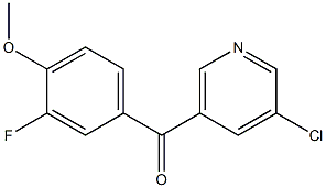 3-CHLORO-5-(3-FLUORO-4-METHOXYBENZOYL)PYRIDINE 结构式