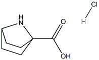 7-AZABICYCLO[2.2.1]HEPTANE-1-CARBOXYLIC ACID HYDROCHLORIDE 结构式