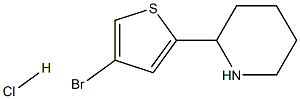 2-(4-BROMO-2-THIENYL)PIPERIDINE HYDROCHLORIDE 结构式