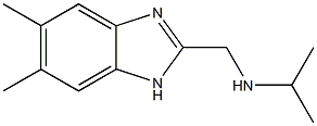 (5,6-Dimethyl-1H-benzoimidazol-2-ylmethyl)-isopropyl-amine 结构式