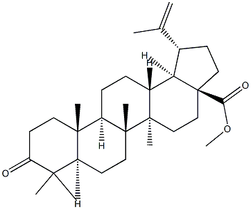 3-OXO-LUP-20(29)-EN-28-OIC ACID METHYL ESTER 结构式