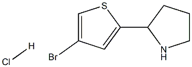 2-(4-BROMO-2-THIENYL)PYRROLIDINE HYDROCHLORIDE 结构式