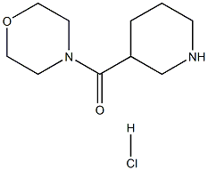 4-(PIPERIDIN-3-YLCARBONYL)MORPHOLINE HYDROCHLORIDE 结构式