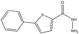 5-PHENYLTHIOPHENE-2-CARBOHYDRAZIDE 结构式