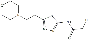 2-Chloro-N-[5-(2-morpholin-4-ylethyl)-1,3,4-thiadiazol-2-yl]acetamide 结构式