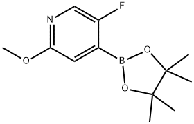 5-FLUORO-2-METHOXYPYRIDINE-4-BORONIC ACID PINACOL ESTER 结构式