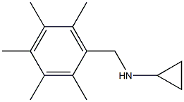 (1R)CYCLOPROPYL(2,3,4,5,6-PENTAMETHYLPHENYL)METHYLAMINE 结构式