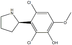 3-((2R)PYRROLIDIN-2-YL)-2,4-DICHLORO-6-METHOXYPHENOL 结构式