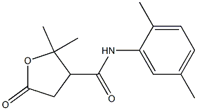 N-(2,5-DIMETHYLPHENYL)-2,2-DIMETHYL-5-OXOTETRAHYDROFURAN-3-CARBOXAMIDE 结构式