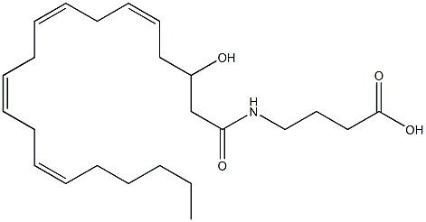 4-[[(3-Hydroxy)-1-oxo-5z,8z,11z,14z-eicosatetraenyl]amino]-butanoic acid 结构式