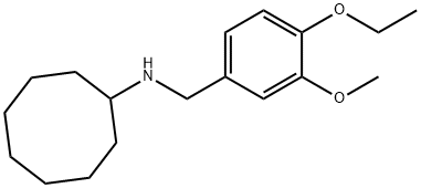 N-(4-ETHOXY-3-METHOXYBENZYL)CYCLOOCTANAMINE 结构式