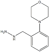 (2-MORPHOLIN-4-YL-BENZYL)-HYDRAZINE 结构式