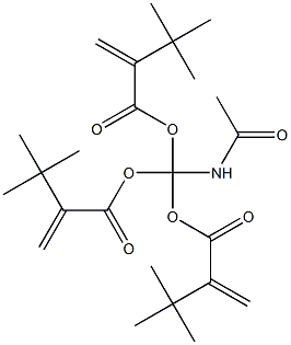 N-ACETYLAMINO-TRI-(T-BUTYLACRYLATE)METHANE 结构式