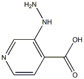 3-Hydrazino-isonicotinic acid 结构式