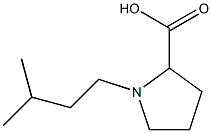 1-(3-METHYLBUTYL)PYRROLIDINE-2-CARBOXYLIC ACID 结构式