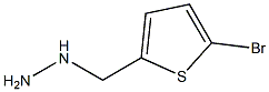 (5-BROMO-THIOPHEN-2-YLMETHYL)-HYDRAZINE 结构式