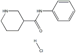N-PHENYLPIPERIDINE-3-CARBOXAMIDE HYDROCHLORIDE 结构式
