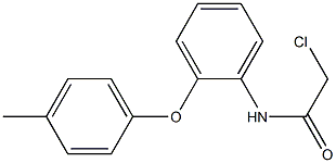 2-CHLORO-N-[2-(4-METHYLPHENOXY)PHENYL]ACETAMIDE 结构式