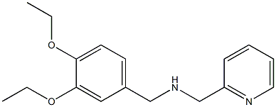 N-(3,4-DIETHOXYBENZYL)-N-(PYRIDIN-2-YLMETHYL)AMINE 结构式