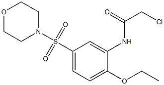 2-CHLORO-N-[2-ETHOXY-5-(MORPHOLIN-4-YLSULFONYL)PHENYL]ACETAMIDE 结构式