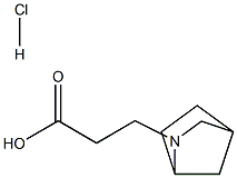 3-(2-AZA-BICYCLO[2.2.1]HEPT-2-YL)-PROPIONIC ACID HYDROCHLORIDE 结构式