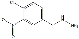 4-CHLORO-3-NITRO-BENZYL-HYDRAZINE 结构式