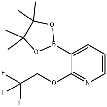 3-(4,4,5,5-四甲基-1,3,2-二氧杂硼-2-基)-2-(2,2,2-三氟乙氧基)吡啶 结构式