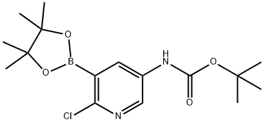 (6-氯-5-(4,4,5,5-四甲基-1,3,2-二氧杂环戊硼烷-2-基)吡啶-3-基)氨基甲酸叔丁酯 结构式