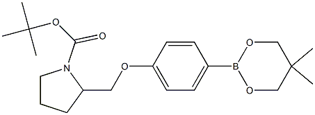 TERT-BUTYL 2-[[4-(5,5-DIMETHYL-1,3,2-DIOXABORINAN-2-YL)PHENOXY]METHYL]PYRROLIDINE-1-CARBOXYLATE 结构式