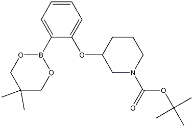 tert-Butyl 3-[2-(5,5-dimethyl-1,3,2-dioxaborinan-2-yl)phenoxy]piperidine-1-carboxylate 结构式