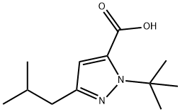 1-(叔丁基)-3-异丁基-1H-吡唑-5-羧酸 结构式