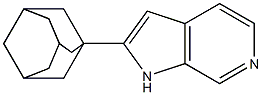 2-ADAMANTAN-1-YL-1H-PYRROLO[2,3-C]PYRIDINE 结构式