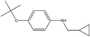 (1R)[4-(TERT-BUTOXY)PHENYL]CYCLOPROPYLMETHYLAMINE 结构式